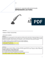 Tarea Comprensión Lectora