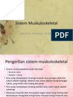 Sistem Muskuloskeletal