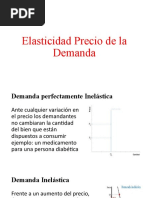 3-Elasticidad Precio de La Demanda