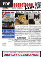 Get A Certified Pre-Owned Cat: NJ Blood Services Need Volunteers