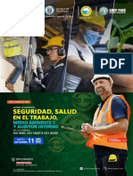 Sistema de Gestión de Seguridad Salud en El Trabajo Medio Ambiente.e-Learning