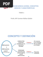 Tema 1. La Delincuencia. La Delincuencia Juvenil. Conceptos Básicos y Características