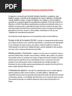 Texto Argumentativo