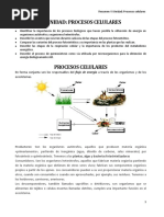 Resumen VI Unidad. Procesos Celulares