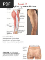 Reporte 7 Anatomia General