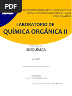 Manual Lab Quim Org II LMC 2022 Completo