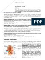 Fisiología Renal