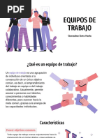 Equipos de Trabajo