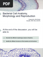 Bacterial Cell Anatomy, Morphology and Reproduction