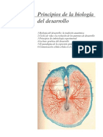 Biologia Del Desarrollo