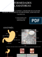 Enf. Inflamatorias Del Estomago