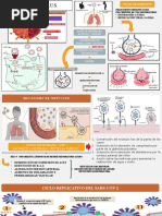 CORONAVIRUS