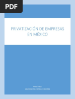 Empresas Privatizadas