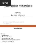 ProcesosMagmaticos Yasimientos Minerales