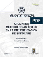 Aplicando Metodologias Agiles en La Implementacion de Software