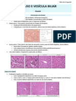 PL 3 - Fígado e Vesícula Biliar