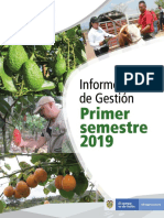 Informe de Gestion Primer Semestre 2019