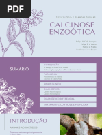 Calcinose Enzoótica - FINAL