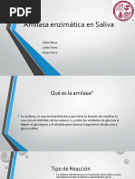 Amilasa Enzimática en Saliva