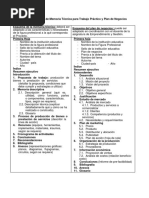 Anexo 4. Esquema de Memoria Técnica para Trabajo Práctico y Plan de Negocios