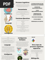 Procesos Cognitivos Superiores o Complejos