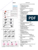 Adaptasi Makhluk Hidup KLS 5