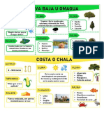 8 Regiones Naturales