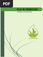 Plan de Produccion