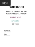 Physical Therapy in Lumbar Spine