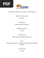 Informe Elementos y Conceptos Generales Del Derecho Laboral