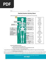 Skeletal System Acticity