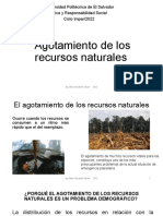 Agotamiento de Los Recursos