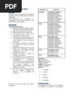 Resumen Aspergillus