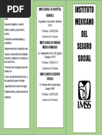 Triptico Imss