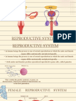 Reproductive System