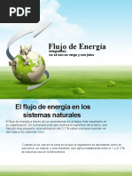 Flujo de Energía