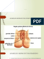 Anatomia e Fisiologia