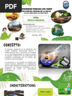 Impacto Ambiental - Exposición