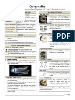 Cytogenetics - Prelim Transes