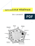 Aucun Titre de Diapositive Compress