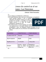 Las Funciones de Control en El Ser Humano