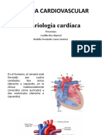 Sistema Carovascular