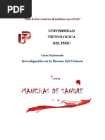 Patrones de Manchas de Sangre