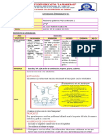 SESIÓN DE APRENDIZAJE #08 Resolvemos Problemas PAEV Combinación 2