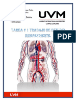 Tarea N 1 Trabajo de Estudio Independiente