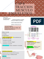 Fisio 1.contraccion