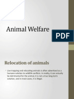 Animal Welfare