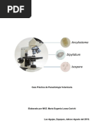 Guía Práctica de Parasitología Veterinaria