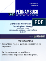 4 - A Respiração Aeróbica e A Obtenção de Energia