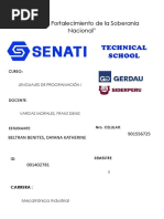 TR1 Lenguaje de Programación - Beltran Benites